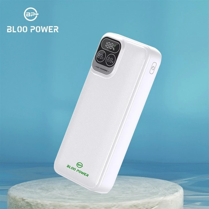 Power Bank Module